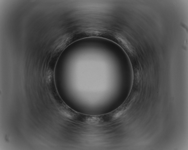 X0000095530125200712141510