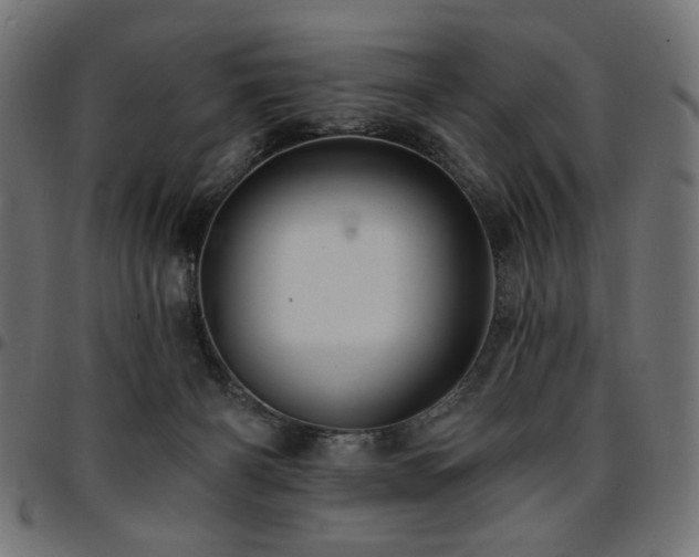 X0000095530126200712141510