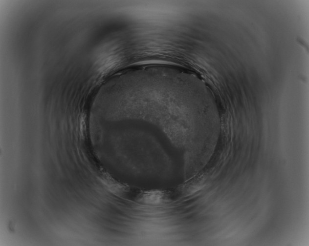 X0000095530127200712141510