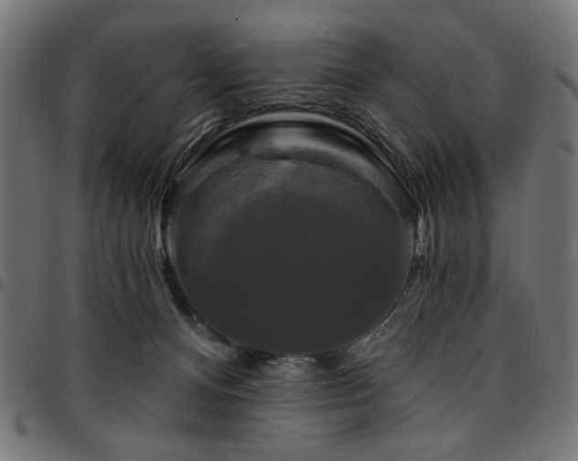 X0000095530128200712141510