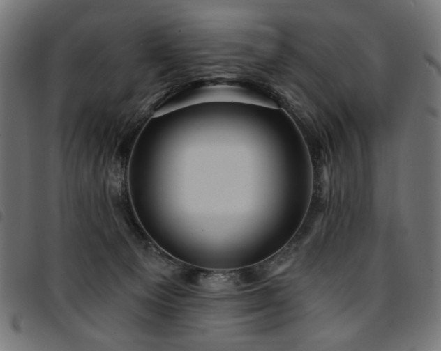 X0000095530129200712141510
