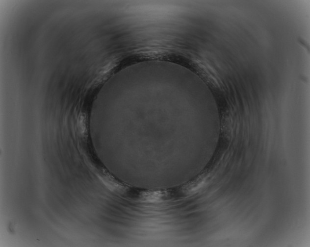 X0000095530131200712141510