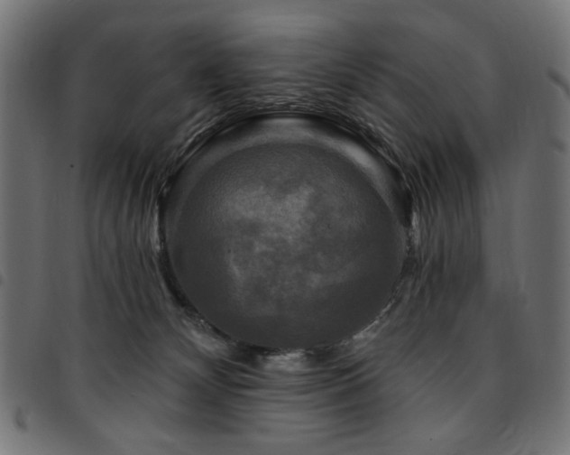 X0000095530132200712141510