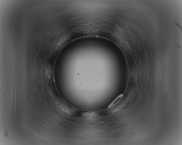 X0000095530133200712141510