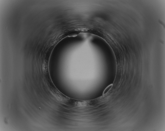 X0000095530134200712141510