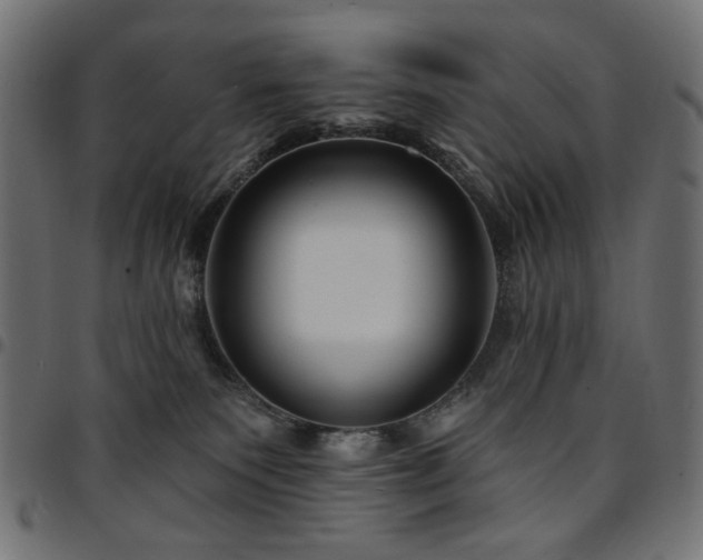 X0000095530135200712141510