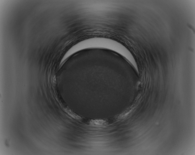 X0000095530137200712141510