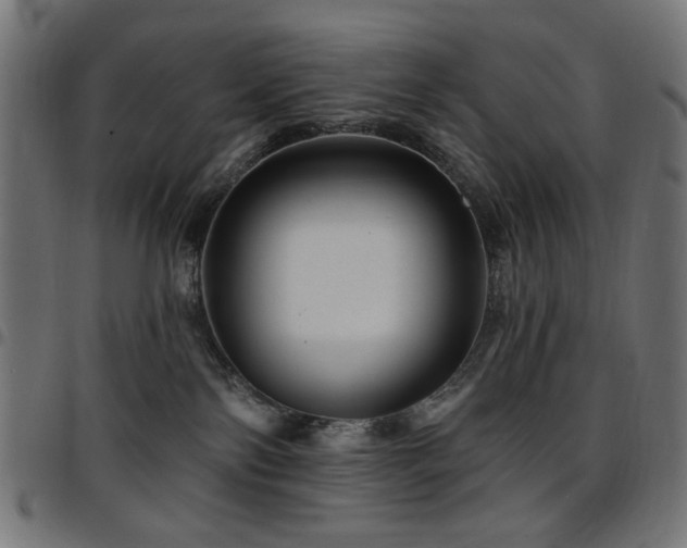 X0000095530138200712141510