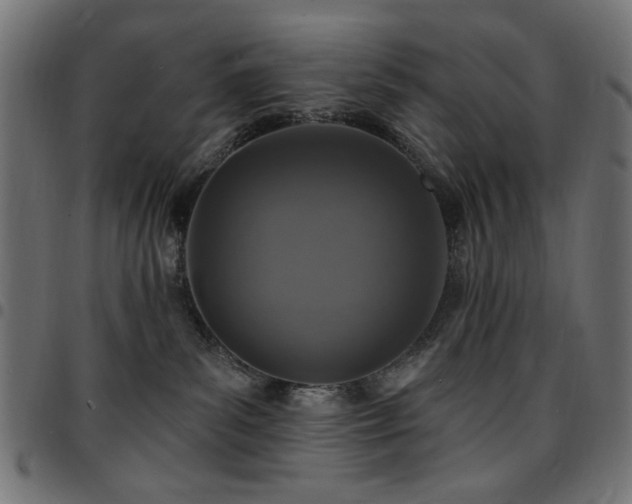 X0000095530139200712141510