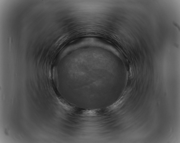 X0000095530140200712141510