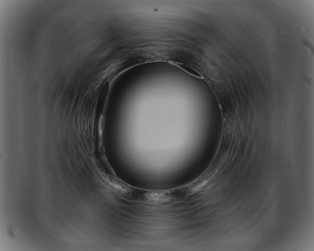 X0000095530141200712141510