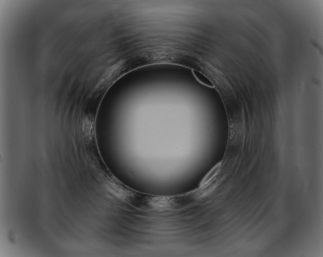 X0000095530142200712141510