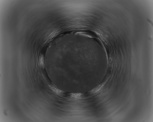 X0000095530143200712141510