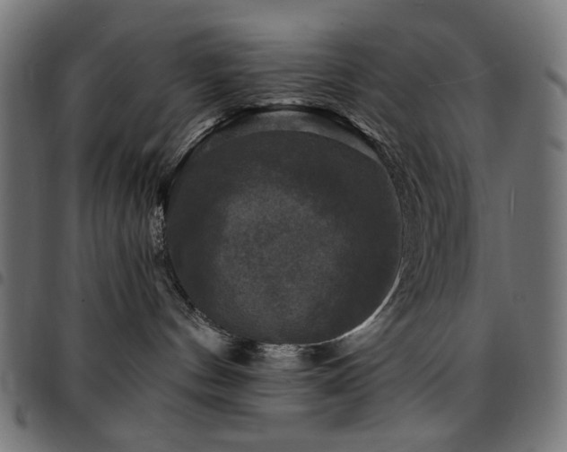 X0000095530144200712141510