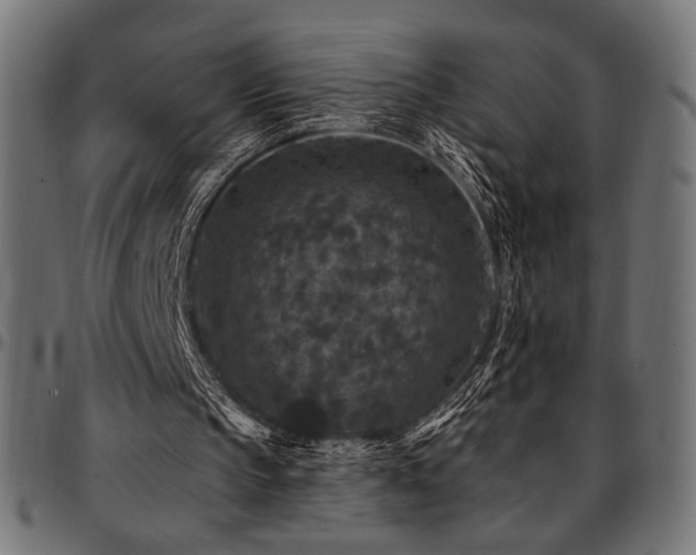 X0000095530145200712141510
