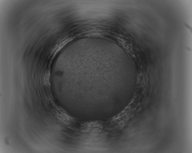 X0000095530146200712141510