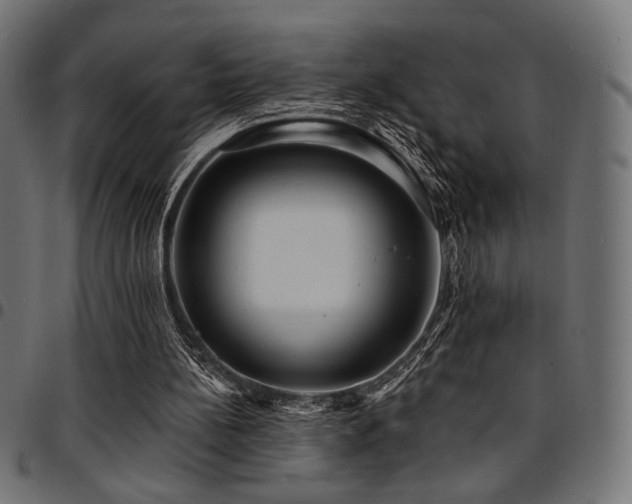 X0000095530148200712141510