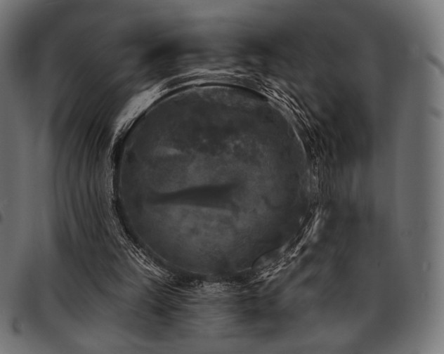 X0000095530149200712141510