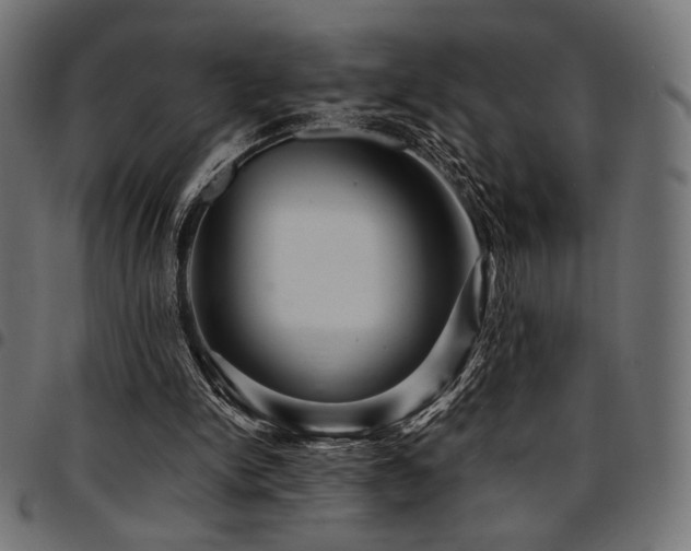 X0000095530150200712141510