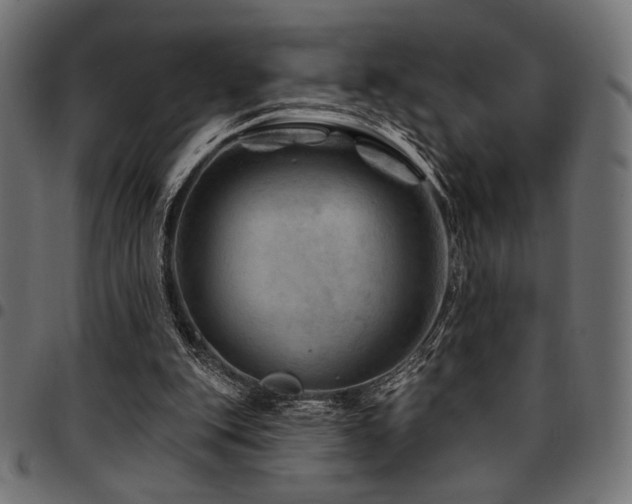 X0000095530151200712141510