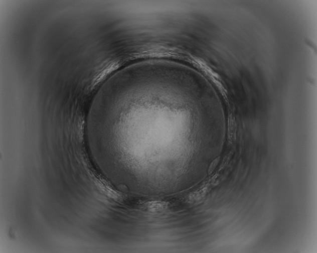 X0000095530153200712141510