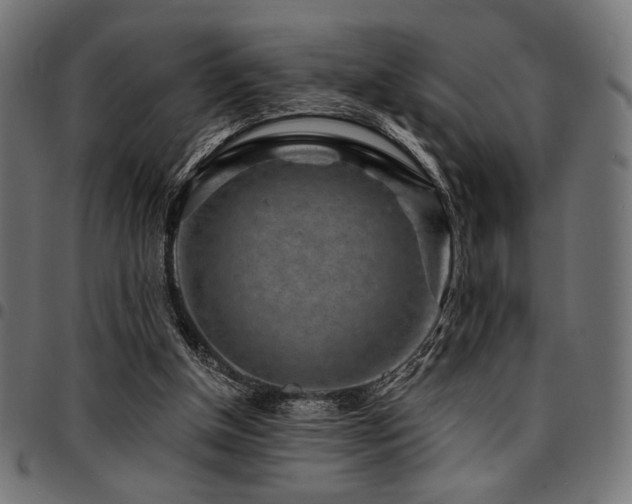 X0000095530154200712141510