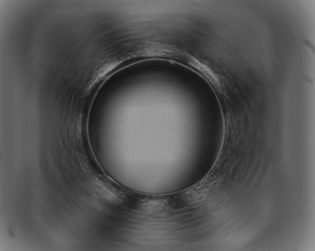 X0000095530155200712141510