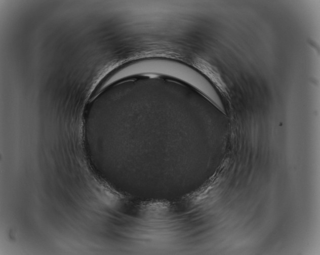 X0000095530156200712141510