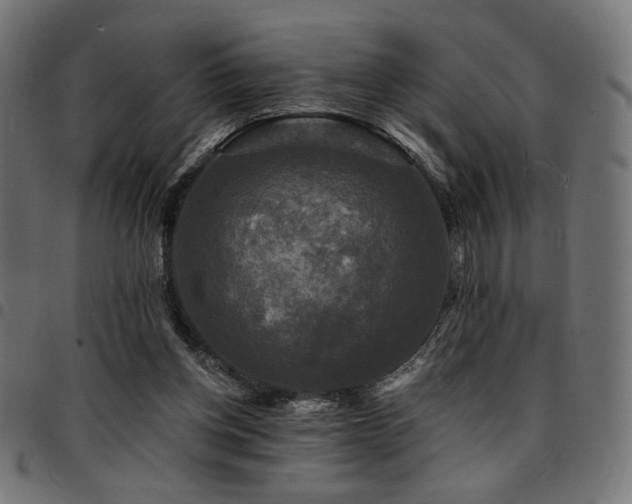 X0000095530158200712141510