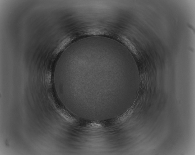 X0000095530159200712141510