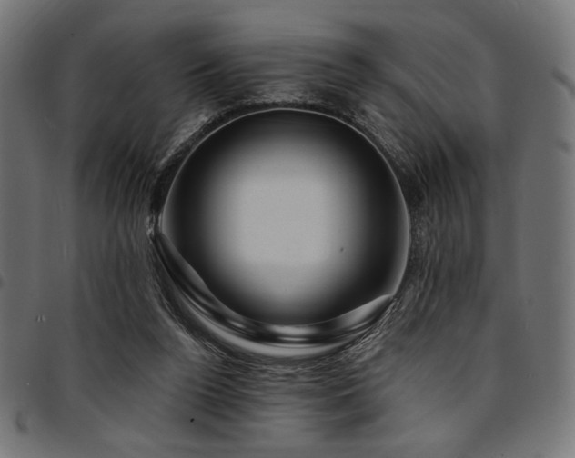 X0000095530160200712141510