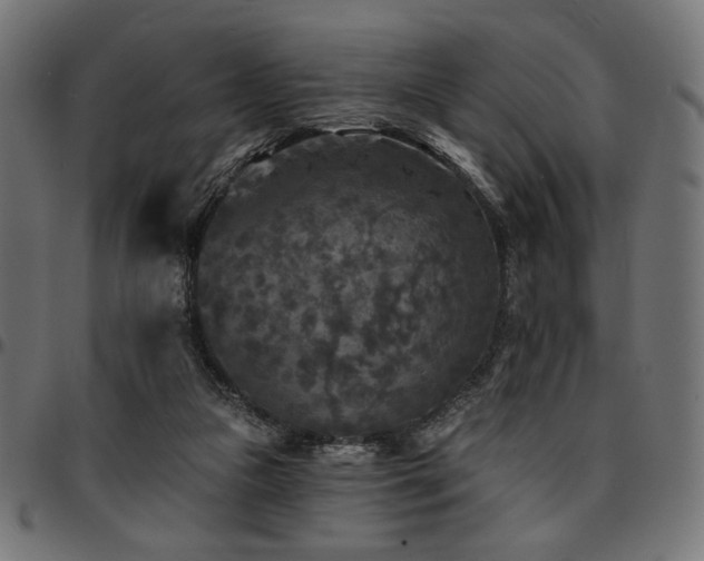 X0000095530161200712141510