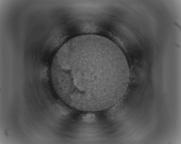 X0000095530162200712141510