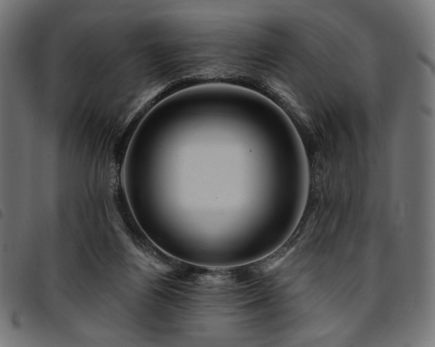 X0000095530164200712141510