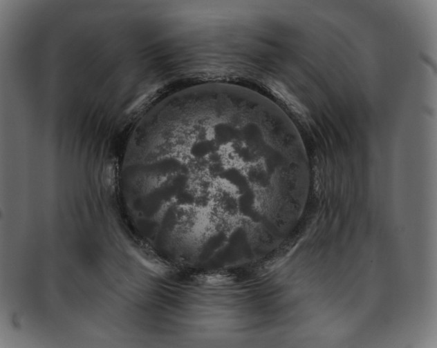 X0000095530165200712141510