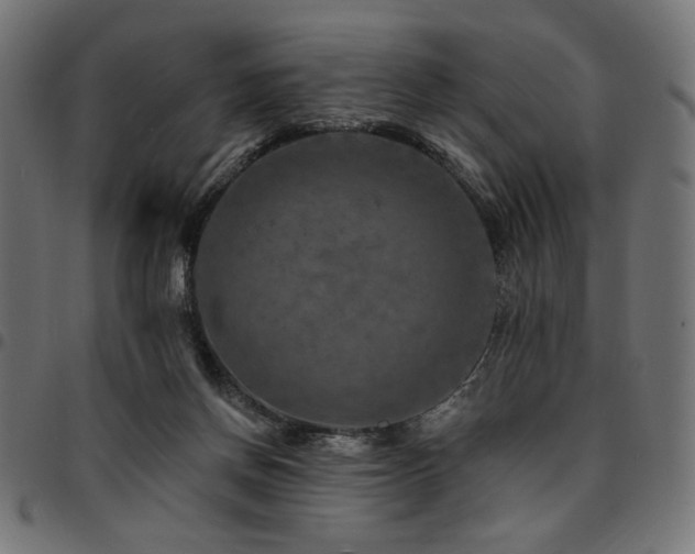 X0000095530166200712141510