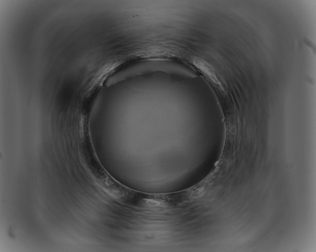 X0000095530167200712141510