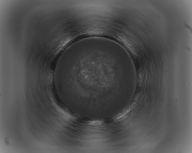 X0000095530168200712141510