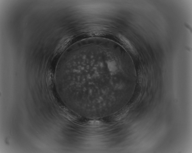 X0000095530169200712141510