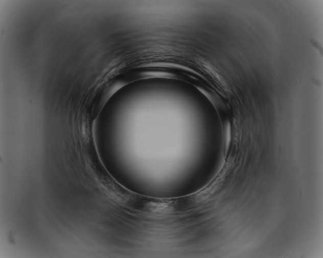 X0000095530170200712141510