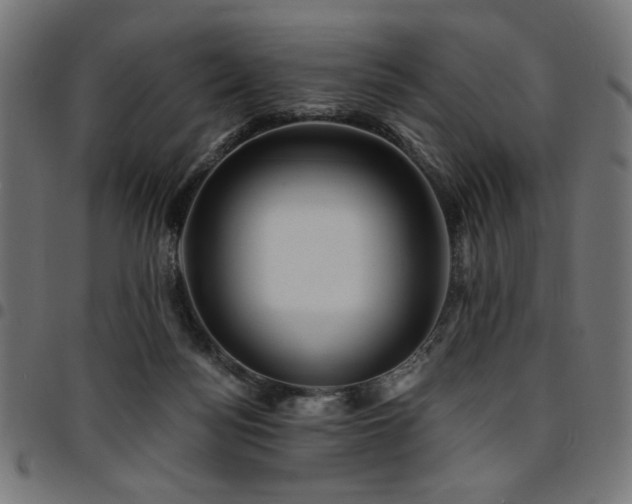 X0000095530172200712141510