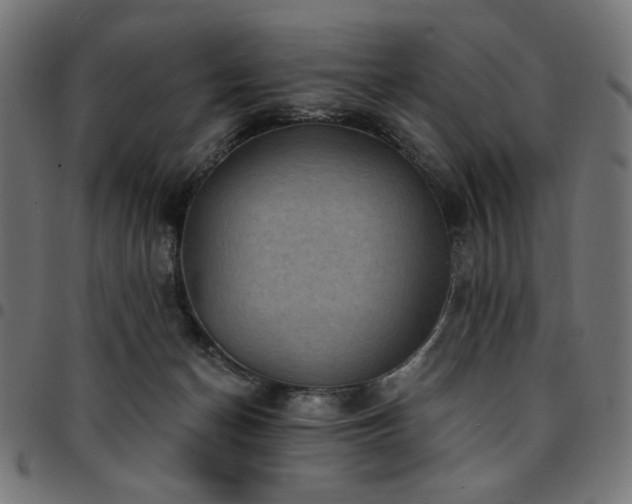 X0000095530174200712141510