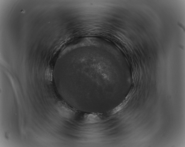 X0000095530180200712141510