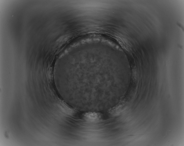 X0000095530181200712141510