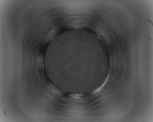 X0000095530182200712141510