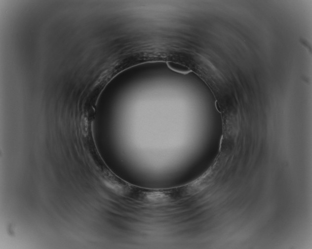 X0000095530183200712141510