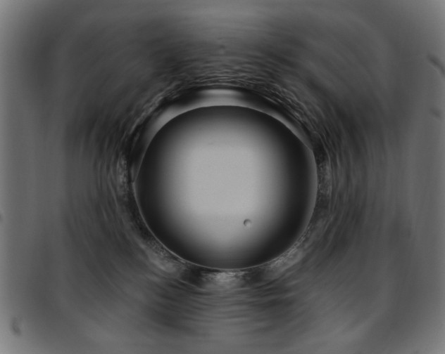 X0000095530184200712141510