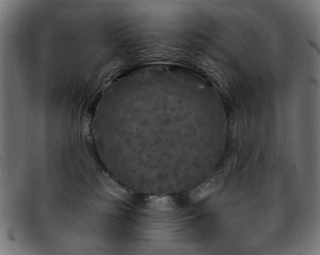X0000095530185200712141510