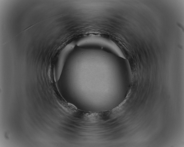 X0000095530186200712141510
