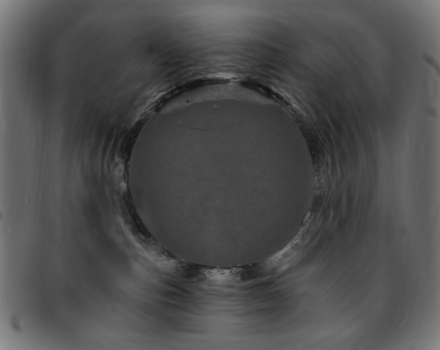 X0000095530187200712141510
